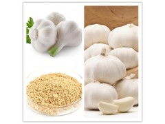 大蒜提取物的深層健康益處 一種優質的比例植物提取物探析
