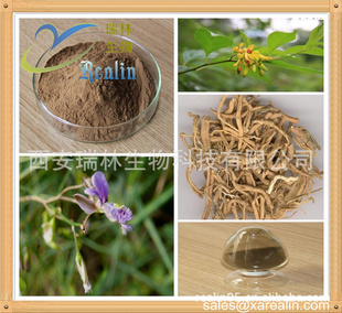 植物提取物 天然遠志提取物（20:1比例提?。┑陌采褚嬷桥c祛痰消腫功效
